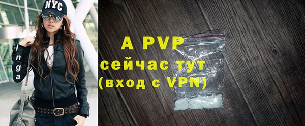 PSILOCYBIN Осинники