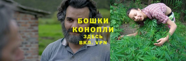 PSILOCYBIN Осинники